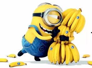 777大香蕉精品在线,网络娱乐新趋势