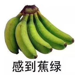 久久99精品视香蕉蕉
