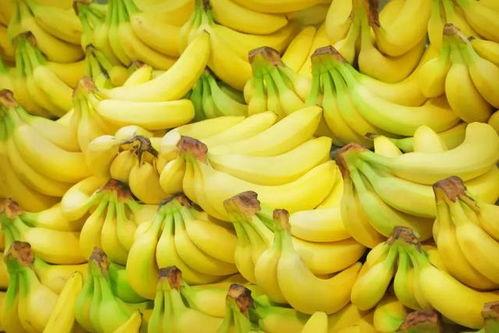 精品新鲜香蕉,品味精品新鲜，尽享甘甜时光